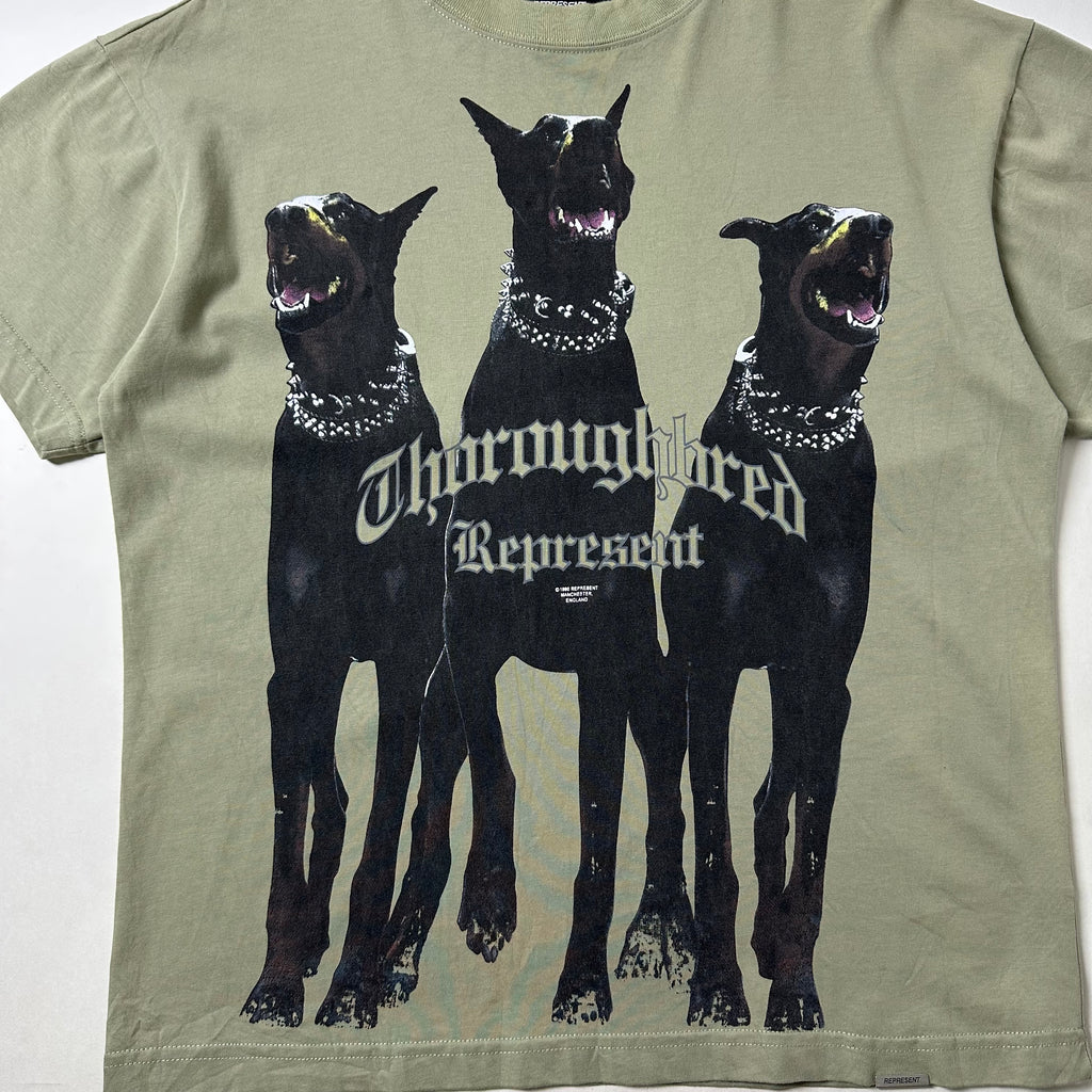 REPRESENT Thoroughbred T-Shirt in Olive Green Size Small (Fits Medium)