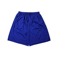 Nike Jersey Shorts in Blue (Size 30-38)
