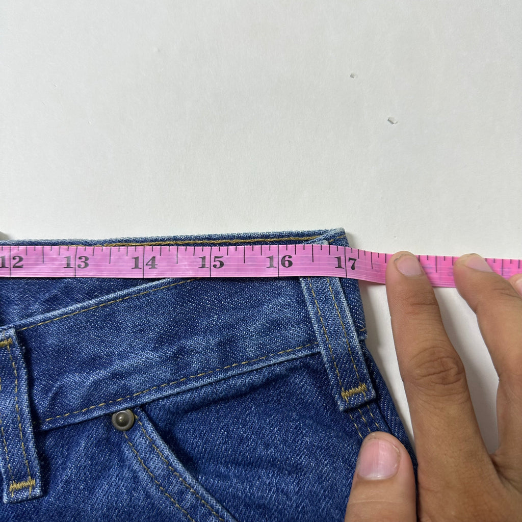 BRAND-NEW Carhartt Double Knee Denim Pants (Size 34)
