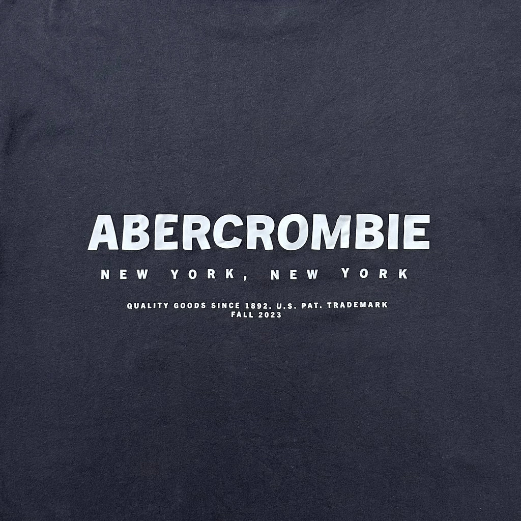 Abercrombie & Fitch Center and Back Logo Print Soft T-shirt in Gray Size Medium